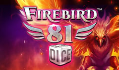 Synot - Firebird 81 Dice