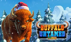 Betixon - Buffalo Untamed Dice