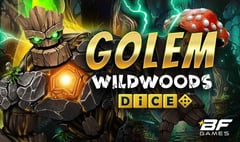 BF Games - Golem Wildwoods Dice